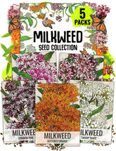 Seed Needs Milkweed Seeds collection in five packets