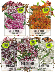 Seed Needs Milkweed Seeds variety pack front view with colourful illustrations