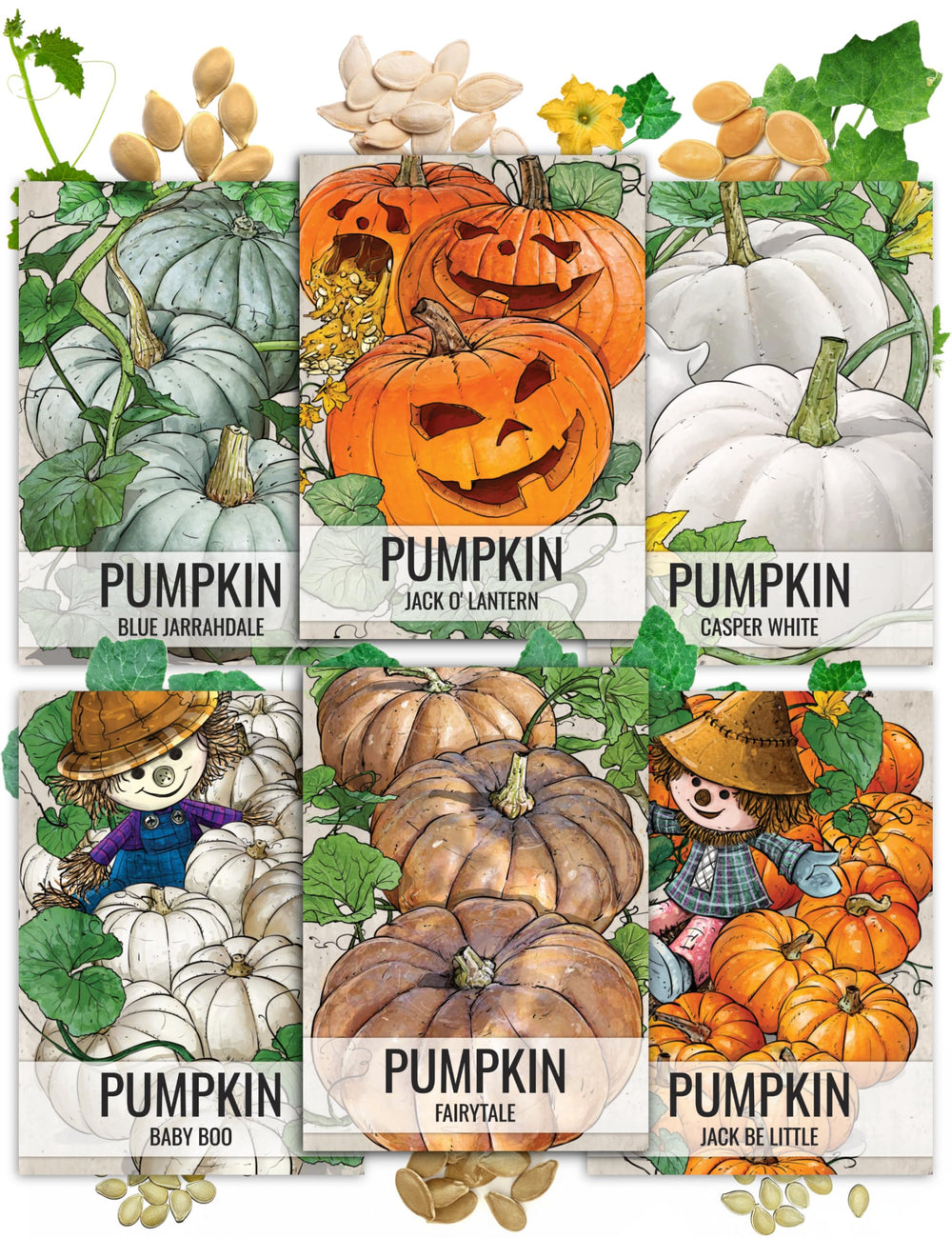 Seed Needs Pumpkin Seeds Variety Pack 6 specialty types front view