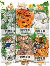 Seed Needs Pumpkin Seeds Variety Pack 6 specialty types front view