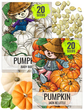 Seed Needs Pumpkin Seeds Variety Pack featuring Jack Be Little and Baby Boo