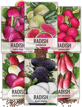 Seed Needs Radish Seeds Variety Pack showcasing six different seed packets