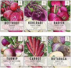 Seed Needs Root Vegetable Seeds Variety Pack front view with illustrations
