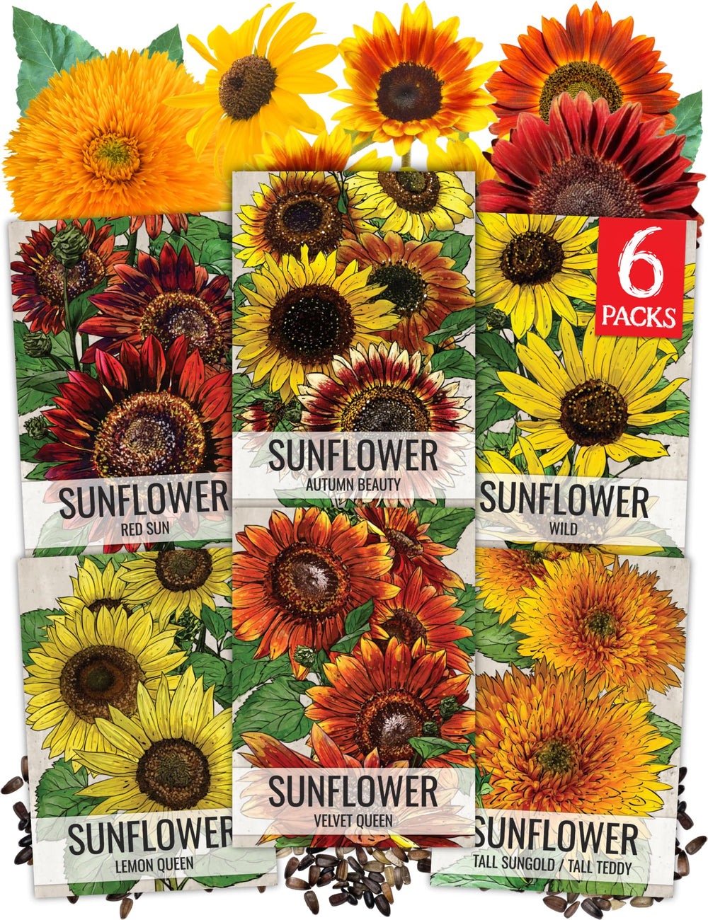Seed Needs Sunflower Seeds Variety Pack front view