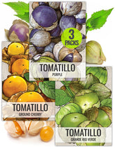 Seed Needs Tomatillo Seeds Variety Pack front view