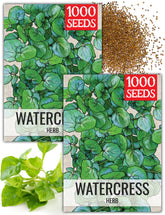 Seed Needs Watercress Herb Seeds front view of packet