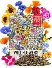 Seed Needs Wildflower Seeds 1 ounce package front view