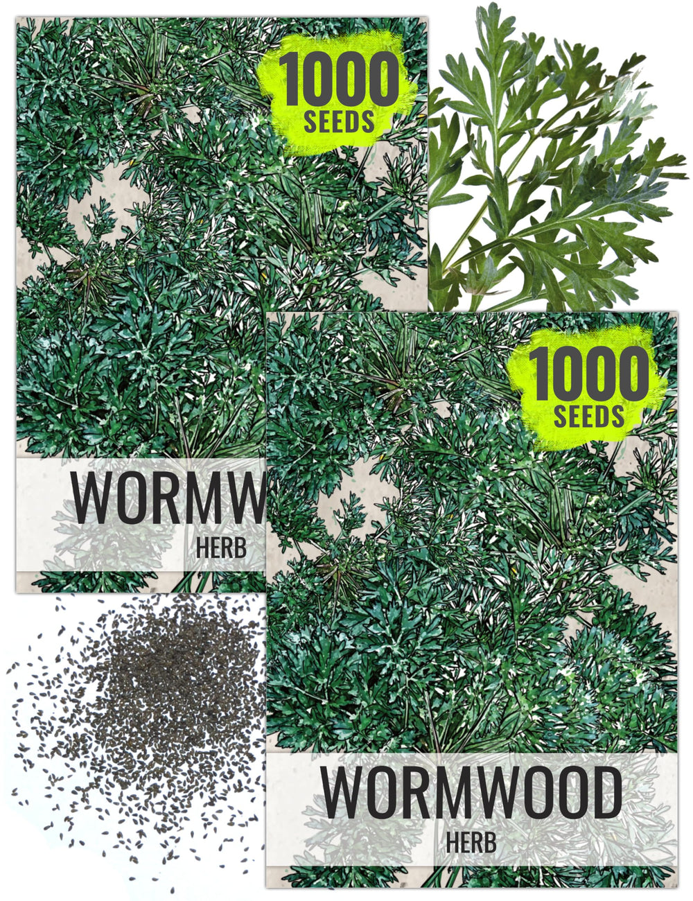 Seed Needs Wormwood Herb Seeds front view packaging