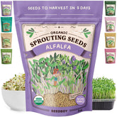 Seedboy Organic Alfalfa Sprouting Seeds 240g front view