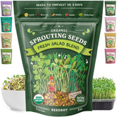 Seedboy Organic Microgreens Salad Blend package front view