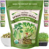 Seedboy Organic Mung Bean Sprouting Seeds 240g front view