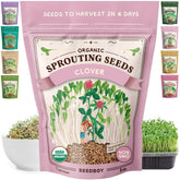 Seedboy Organic Non-GMO Red Clover Sprouting Seeds package front view