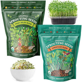 Seedboy Organic Non-GMO Sprouting Seeds pack front view