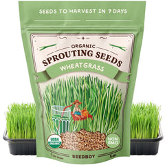 Seedboy Organic Non-GMO Wheatgrass Seeds package front view