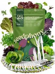 Seedphony Lettuce & Salad Greens Seeds Variety Pack front view