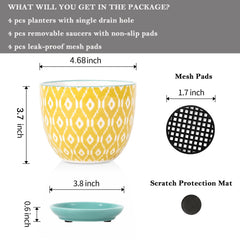 Selamica ceramic pot with removable saucer and mesh pad