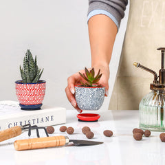 Selamica Mini Pot with Saucer and Mesh Pad
