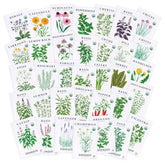 Sereniseed Certified Organic Herb Seeds 35-Pack front view