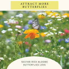 Sereniseed Hummingbird Wildflower Mix Seeds in a garden setting