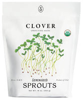 Sereniseed Organic Clover Sprout Seeds 16 oz front view
