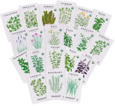 Sereniseed Organic Herb Seeds 20-Pack front view