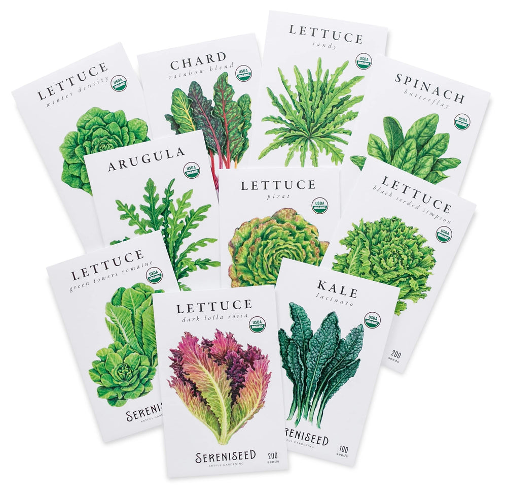 Sereniseed Organic Leafy Greens Lettuce Seeds Collection front view