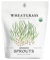 Sereniseed Organic Wheatgrass Seeds 16 oz front view