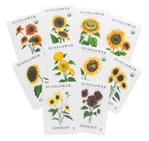 Sereniseed Sunflower Seeds Collection 10-Pack with various seed packets