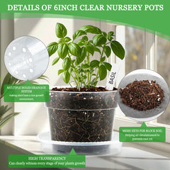 Set of 15 BTPLASTIK clear nursery pots with labels and soil screens
