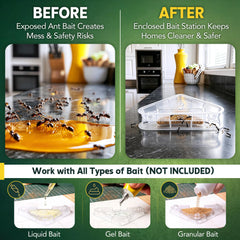Set of 8 Qualirey Ant Bait Stations on a kitchen counter