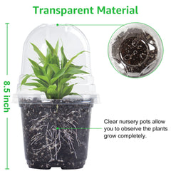 Set of Bonviee nursery pots showing all sizes