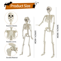 Set of GTYZZH mini skeletons, 16 inches, hanging display