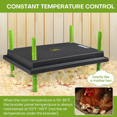 Shaledig brooder heater plate with indicator light