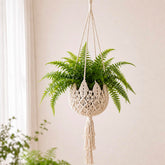 Shappy Boho macrame plant hanger front view, white cotton rope