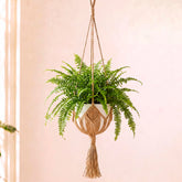 Shappy Boho Macrame Plant Hanger front view with jute colour