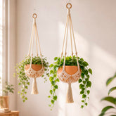 Shappy Boho Macrame Plant Hanger front view with plant