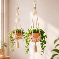 Shappy Boho Macrame Plant Hanger front view with plant