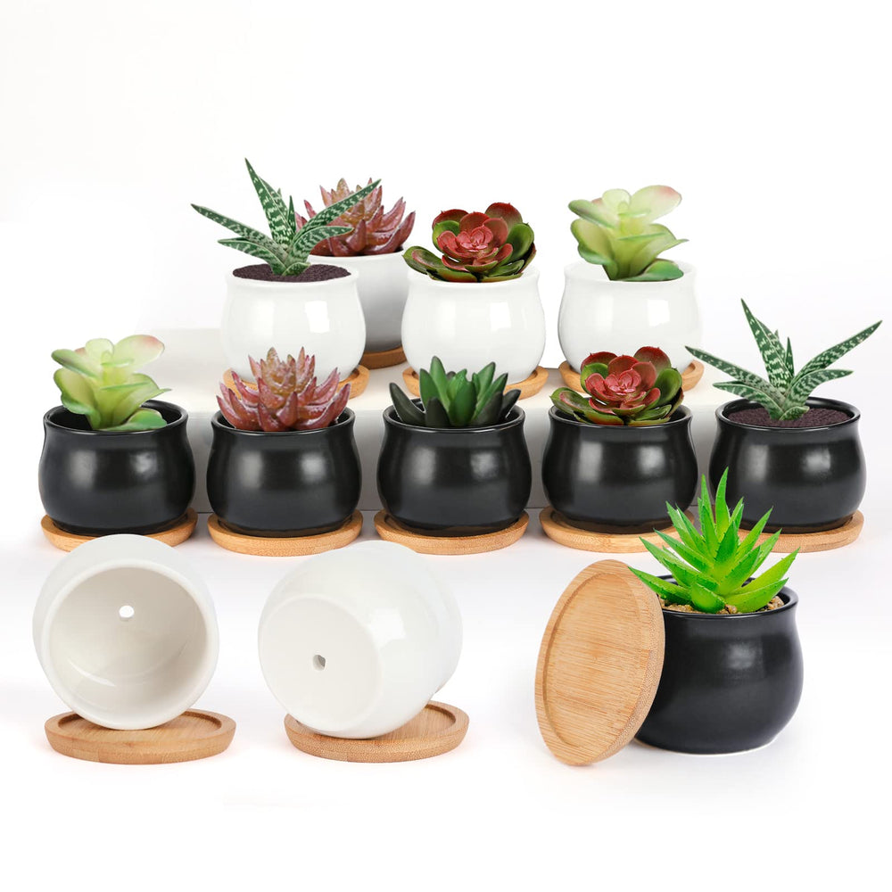 SHECIPIN 12 Pack Succulent Plant Pots in Matte Black and White