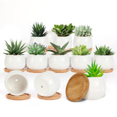 SHECIPIN Mini Ceramic Succulent Pot front view with bamboo tray