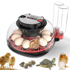ShellBr8ker Nest II 12 Egg Incubator front view