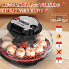 ShellBr8ker Nest II with water bottle for humidity control