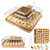 ShellBr8ker Nest IV 48 Egg Incubator front view