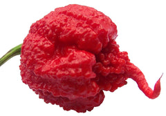 Sherwoods Seeds Carolina Reaper HP22B Pepper Seeds packet front view