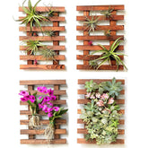 ShopLaLa Wall Planters 40cm dark brown wooden front view