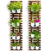 ShopLaLa Wooden Wall Planter dark brown front view