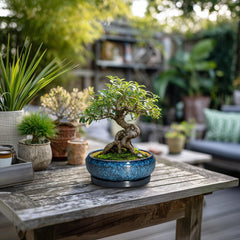 Side view of EPFamily 6 Inch Blue Ceramic Succulent Pot
