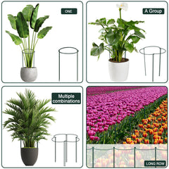 Side view of Gicare half round peony cages