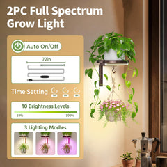 Side view of LASZOLA plant hanger mounted on a wall with plants displayed