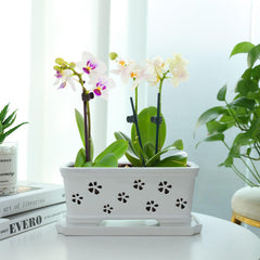 Side view of Lovely Ran Ceramic Orchid Pot