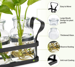 Side view of Mkono propagation station with plants